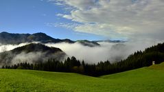 nach dem regen