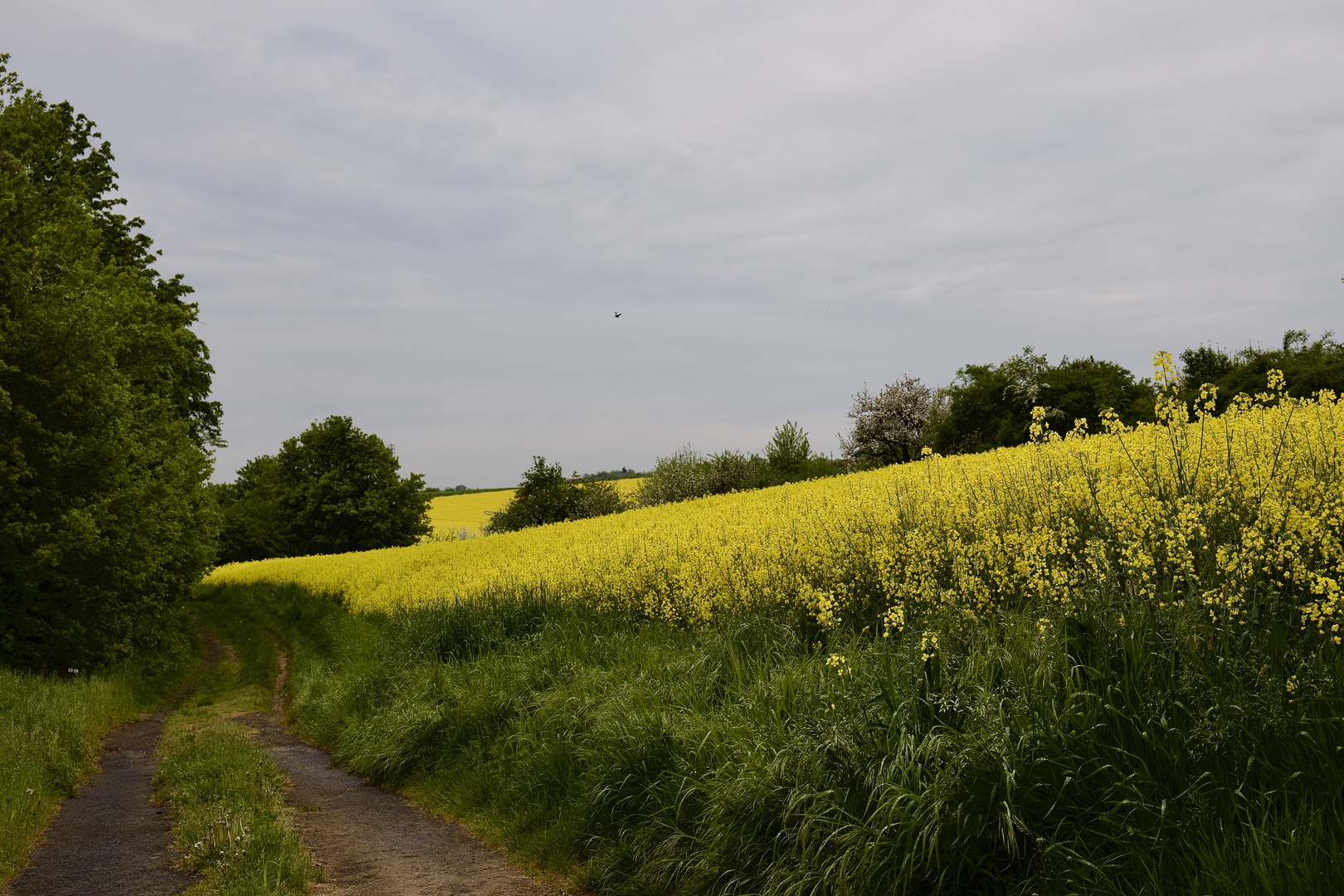 Nach dem Regen…