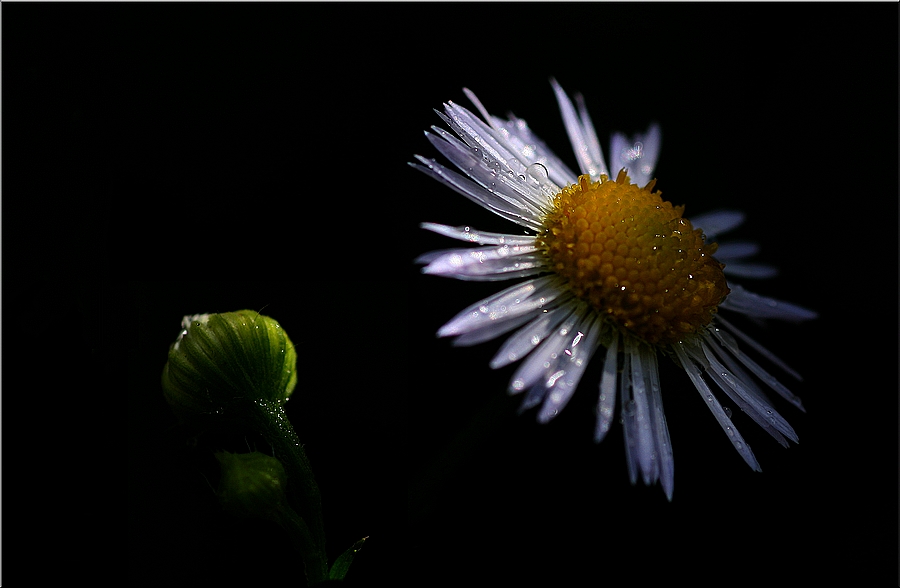 nach dem Regen...