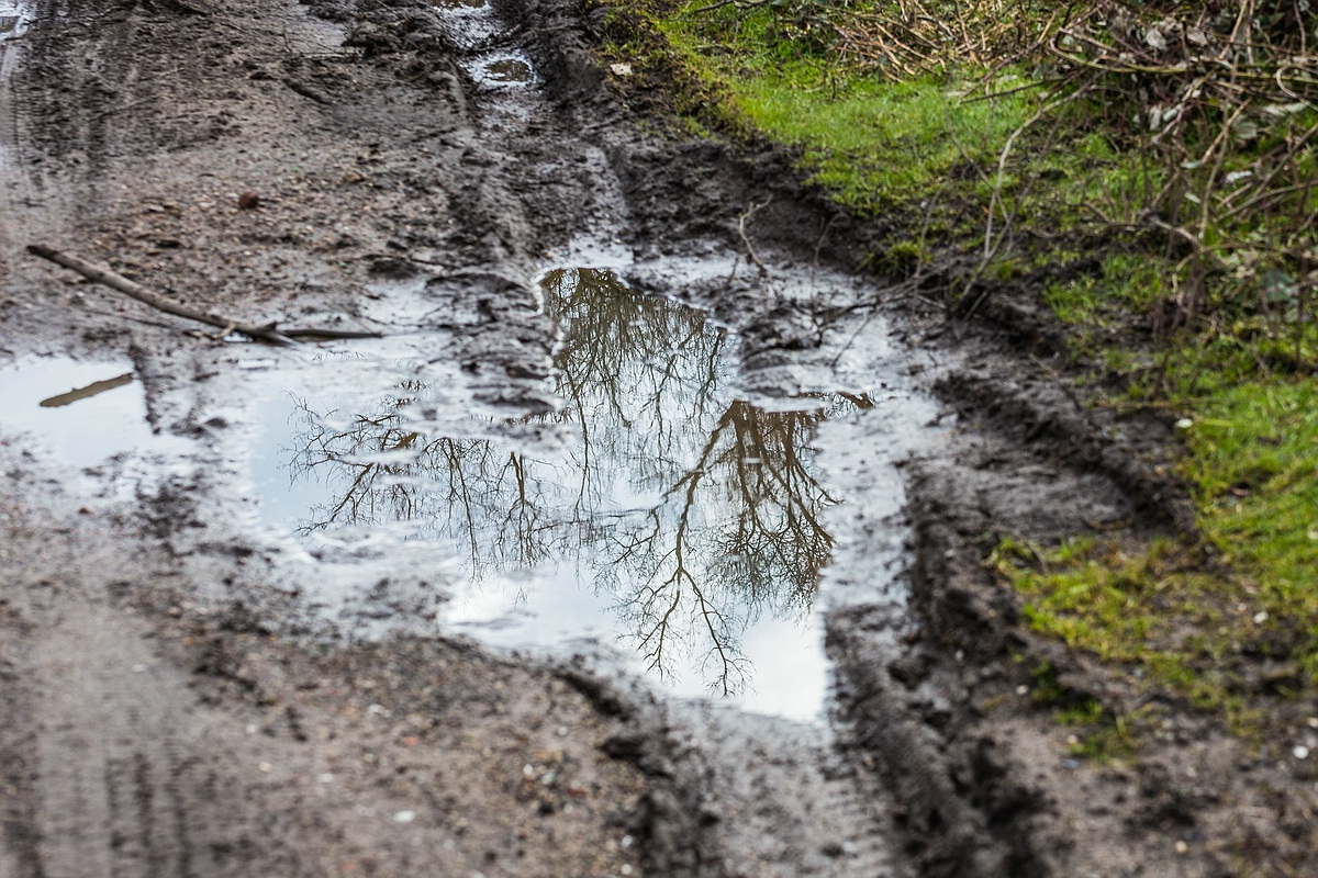 nach dem Regen