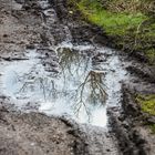 nach dem Regen