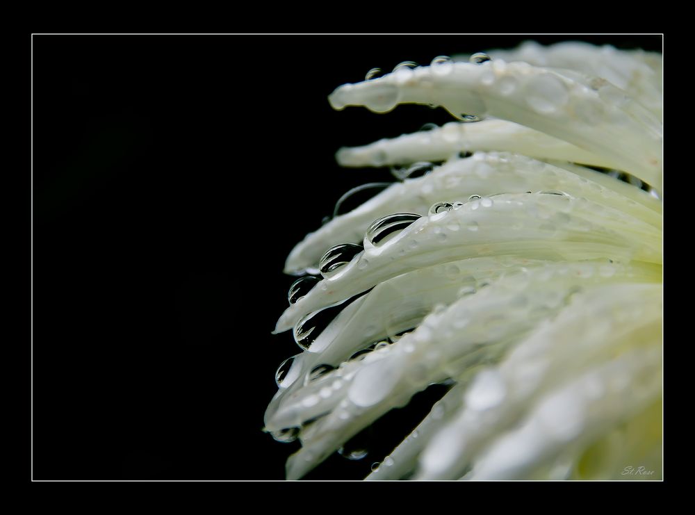 Nach dem Regen...