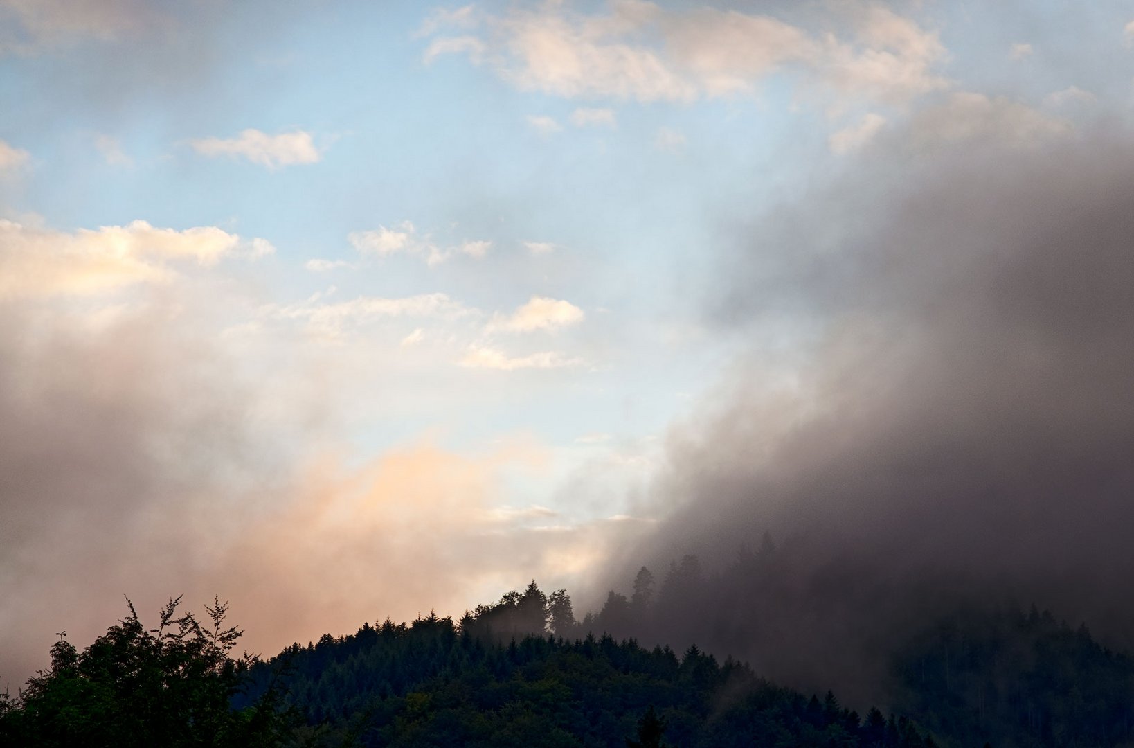 nach dem Regen