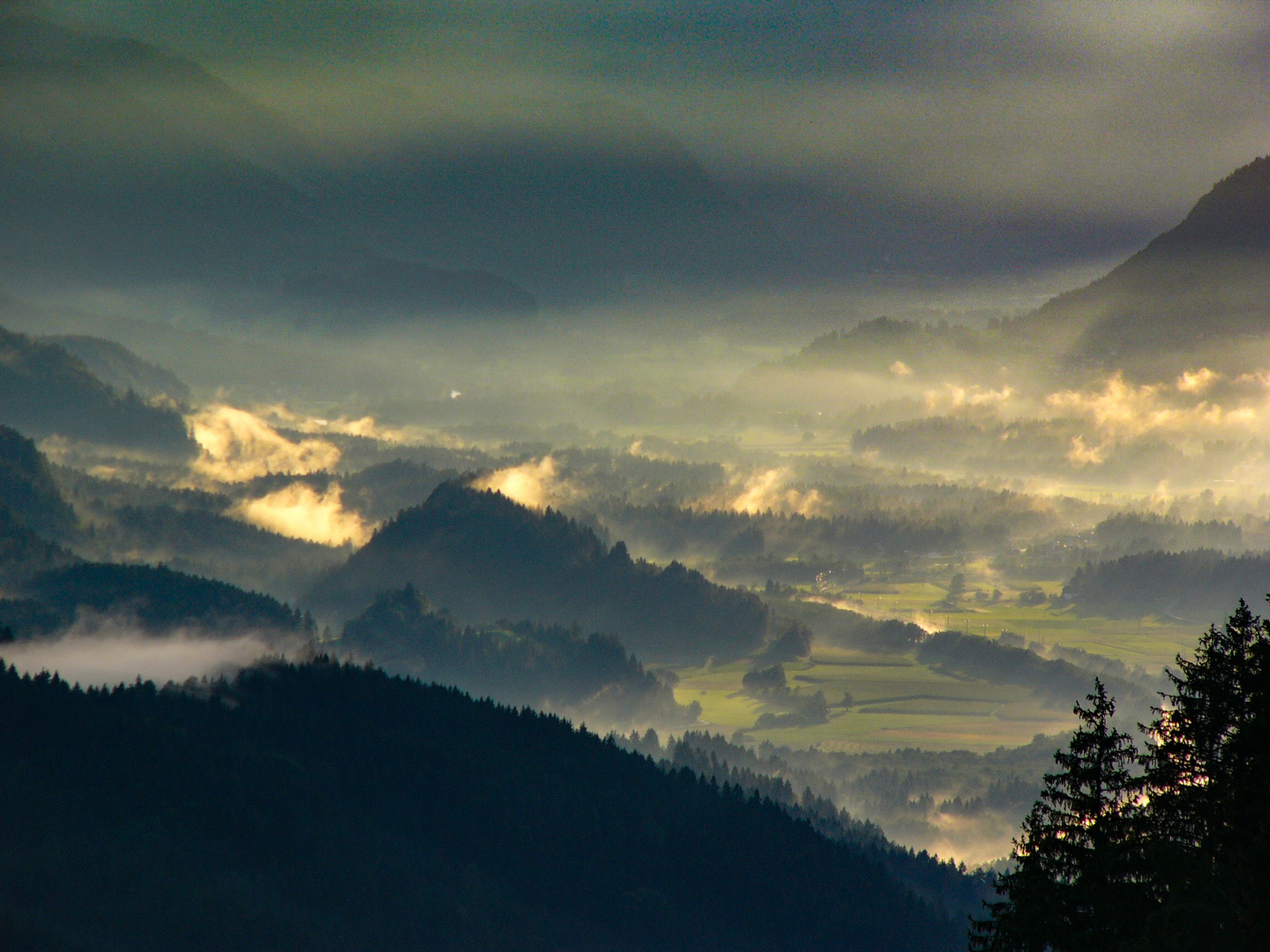 Nach dem Regen