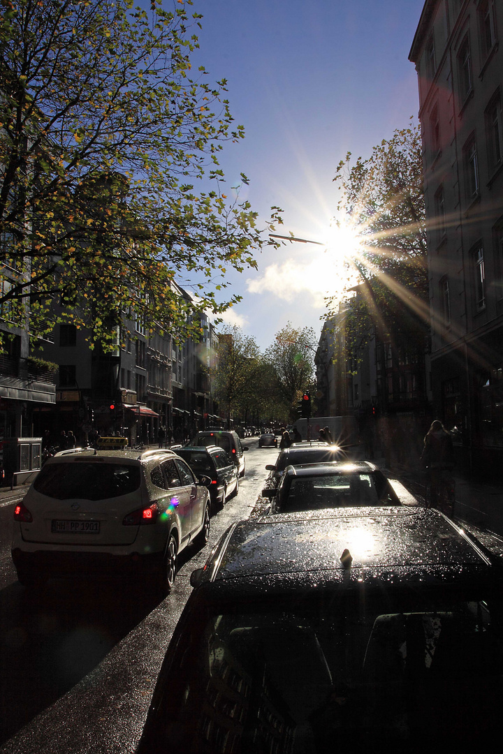 nach dem Regen