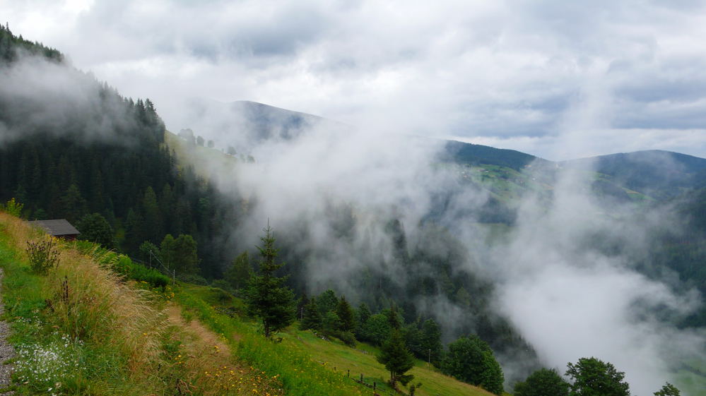 Nach dem Regen