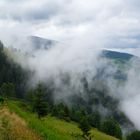 Nach dem Regen