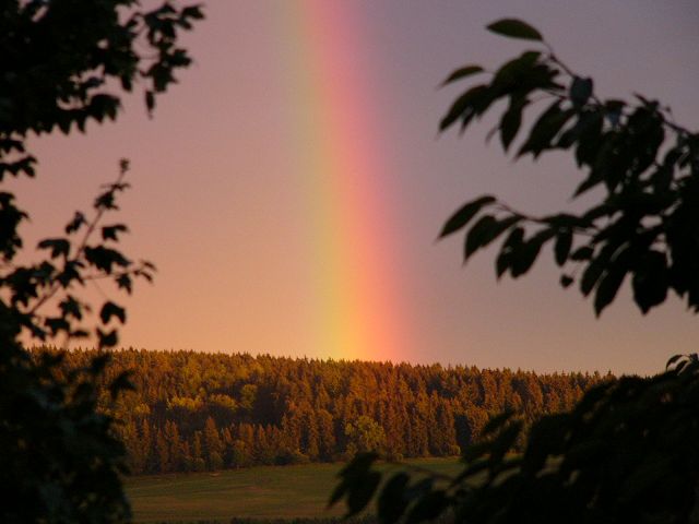 NACH DEM REGEN