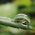 Nach dem Regen