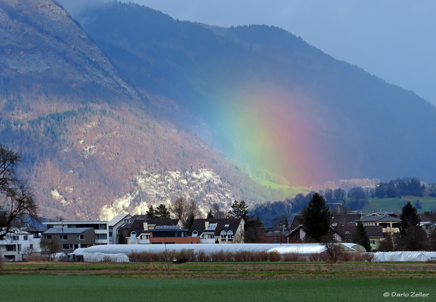 Nach dem Regen