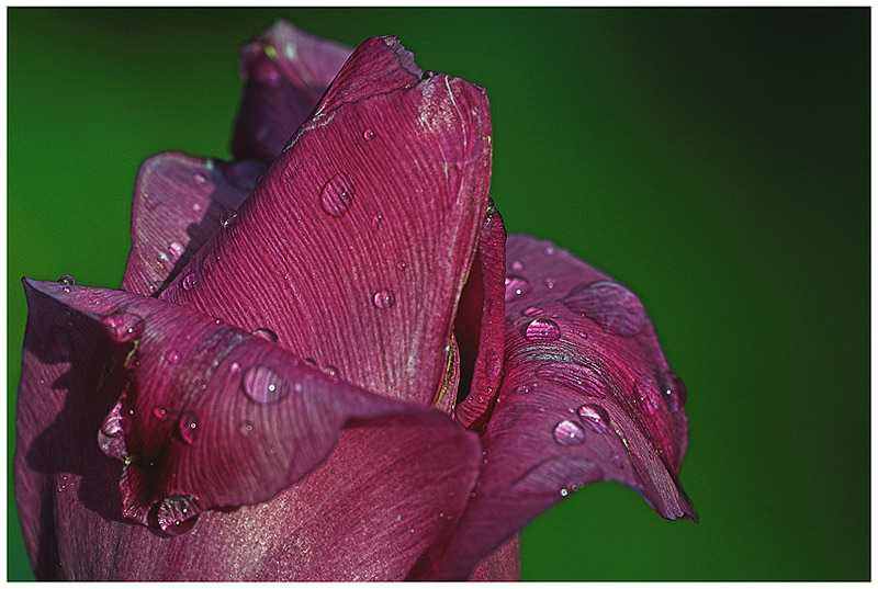 nach dem Regen