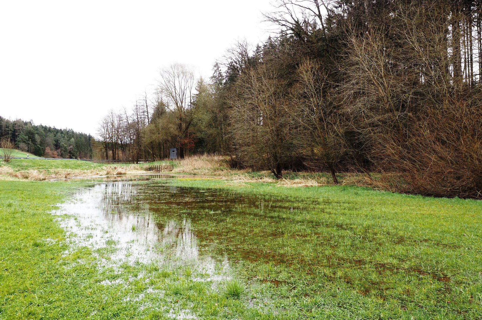 Nach dem Regen