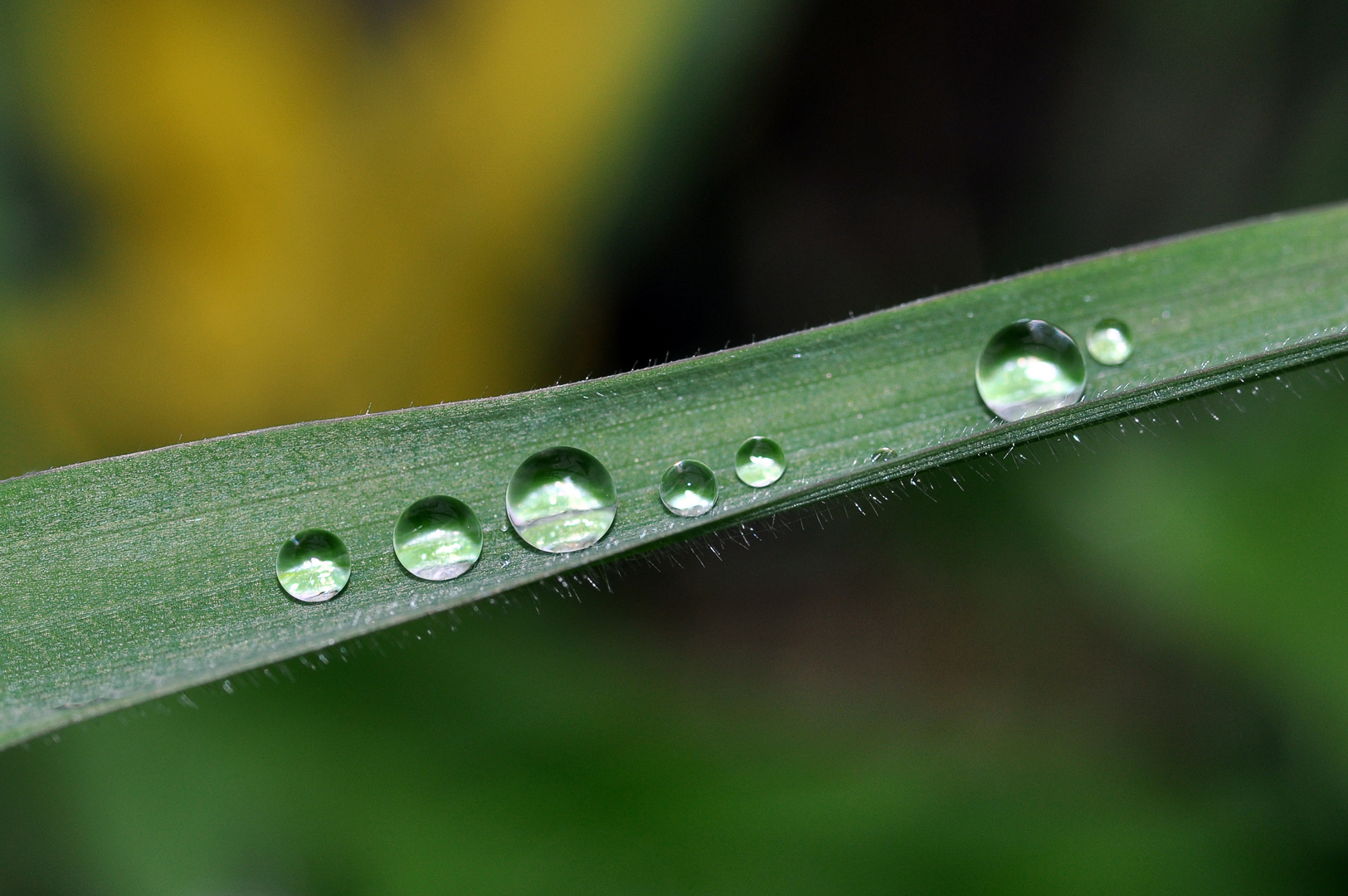 Nach dem Regen 