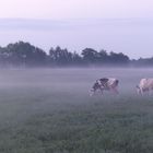 ..nach dem Regen