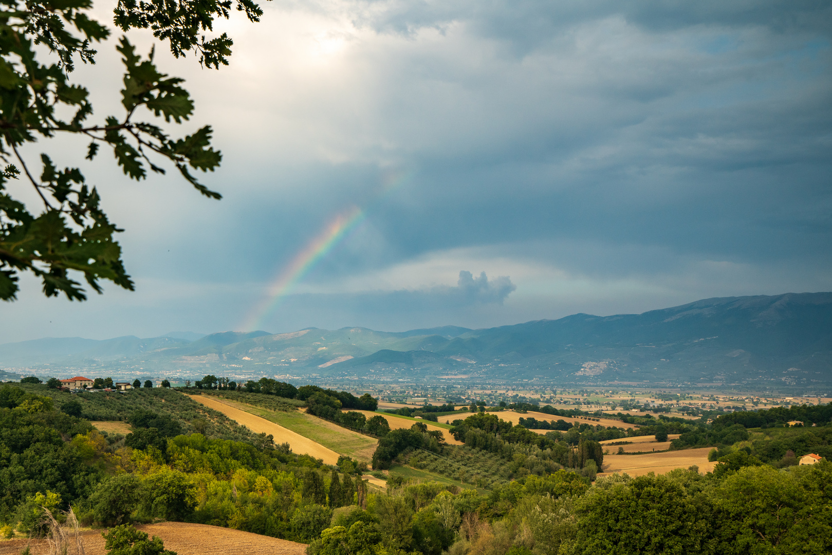 Nach dem Regen