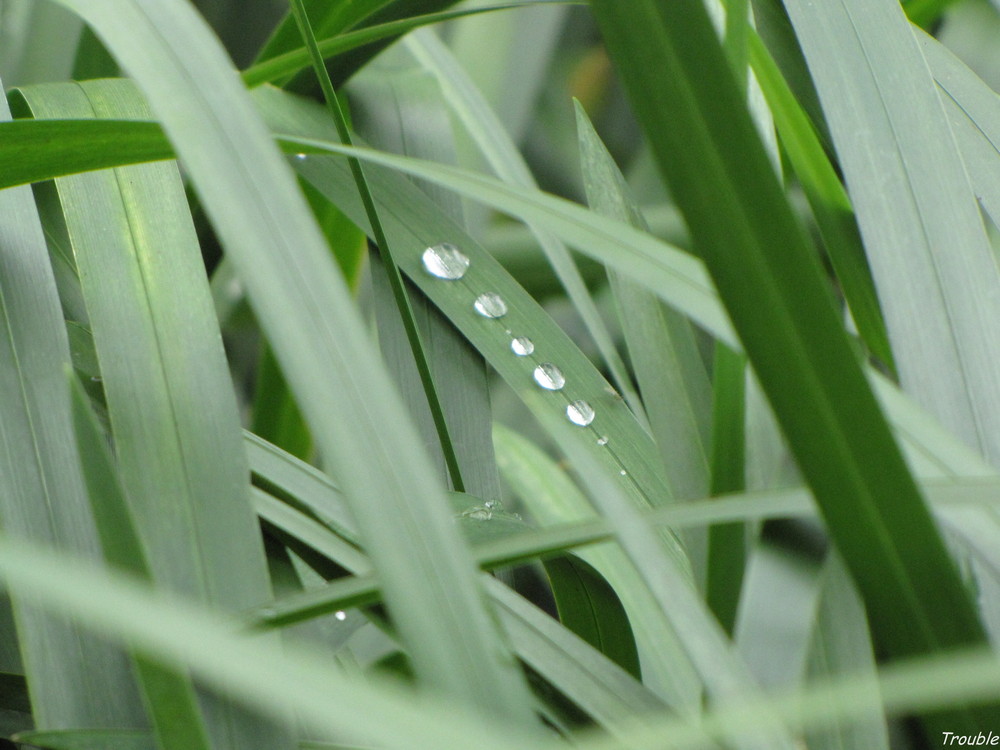 Nach dem Regen