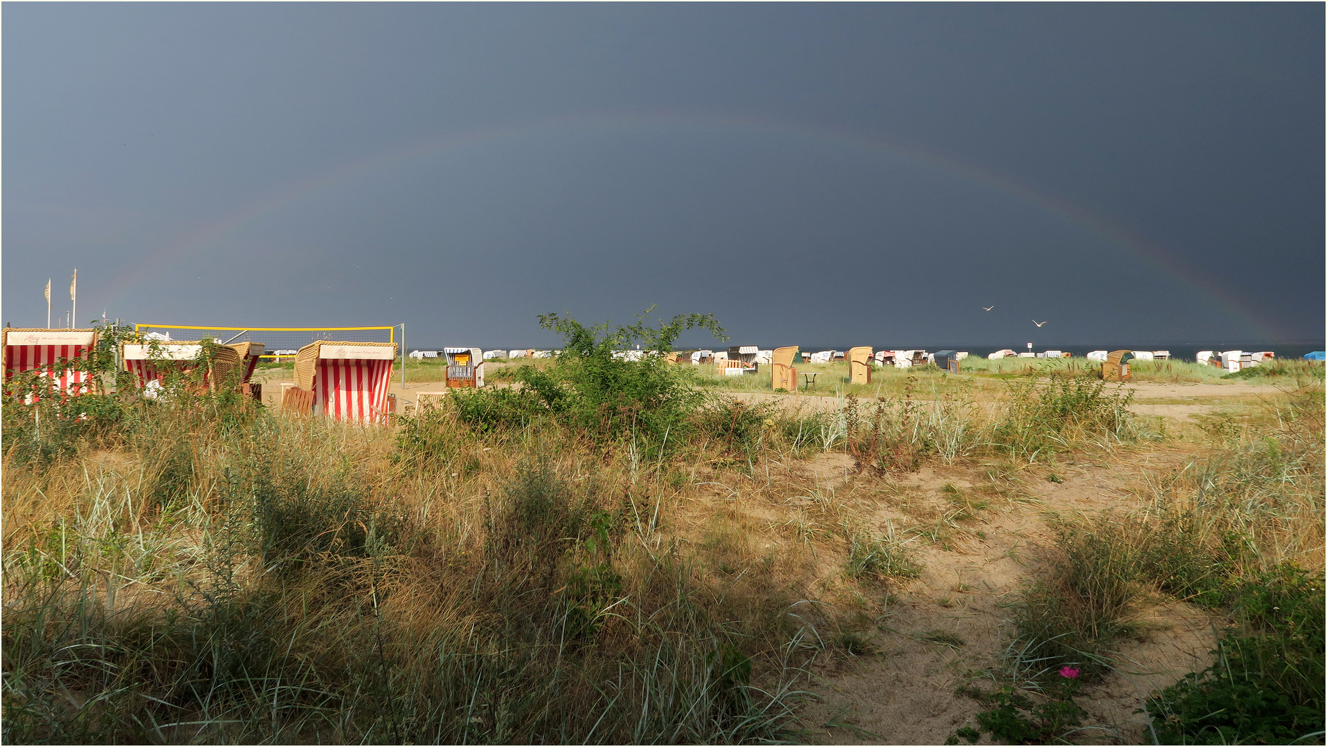 Nach dem Regen...