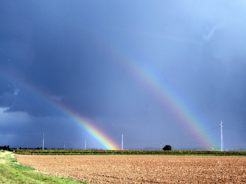 Nach dem Regen