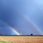 Nach dem Regen