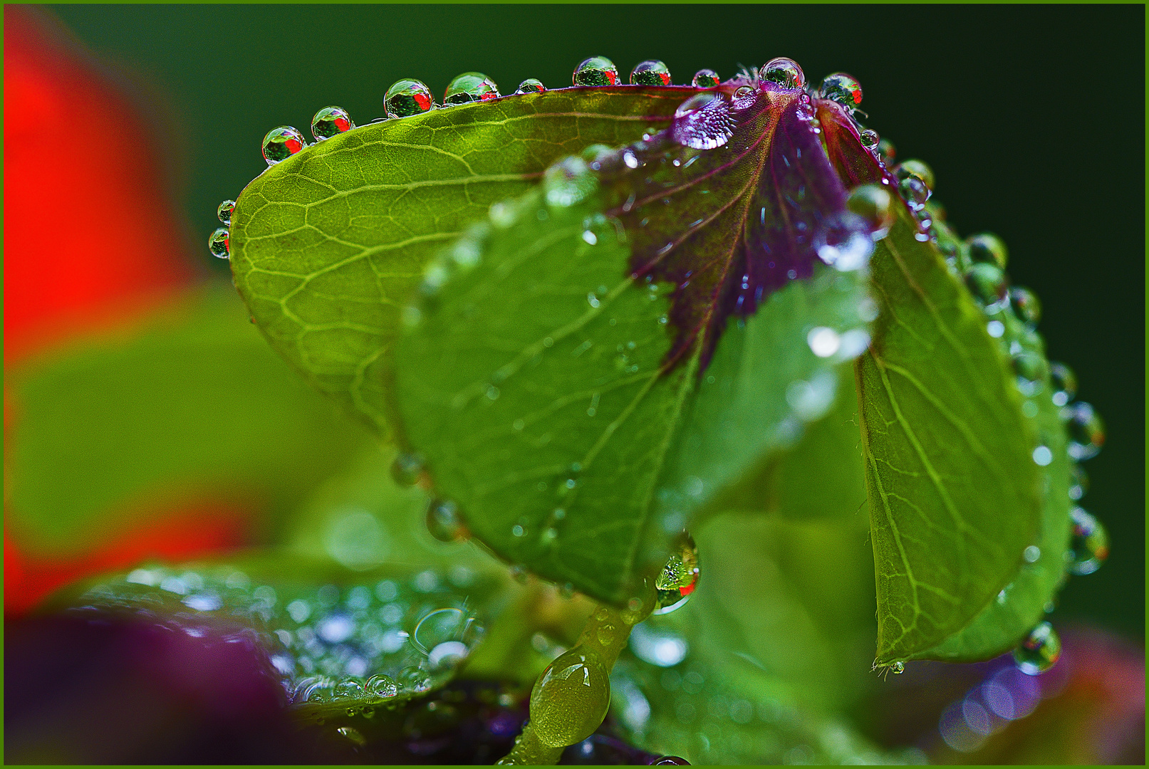 Nach dem Regen