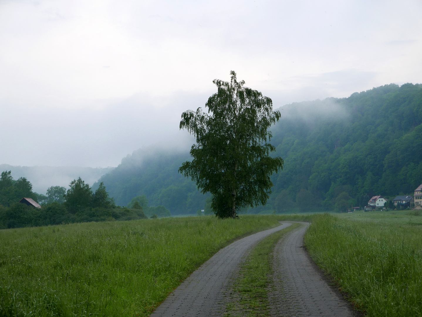 nach dem Regen