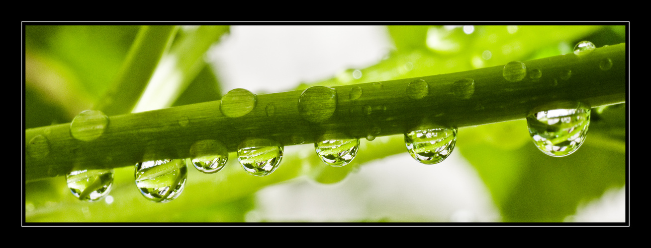 Nach dem regen Bearbeitet