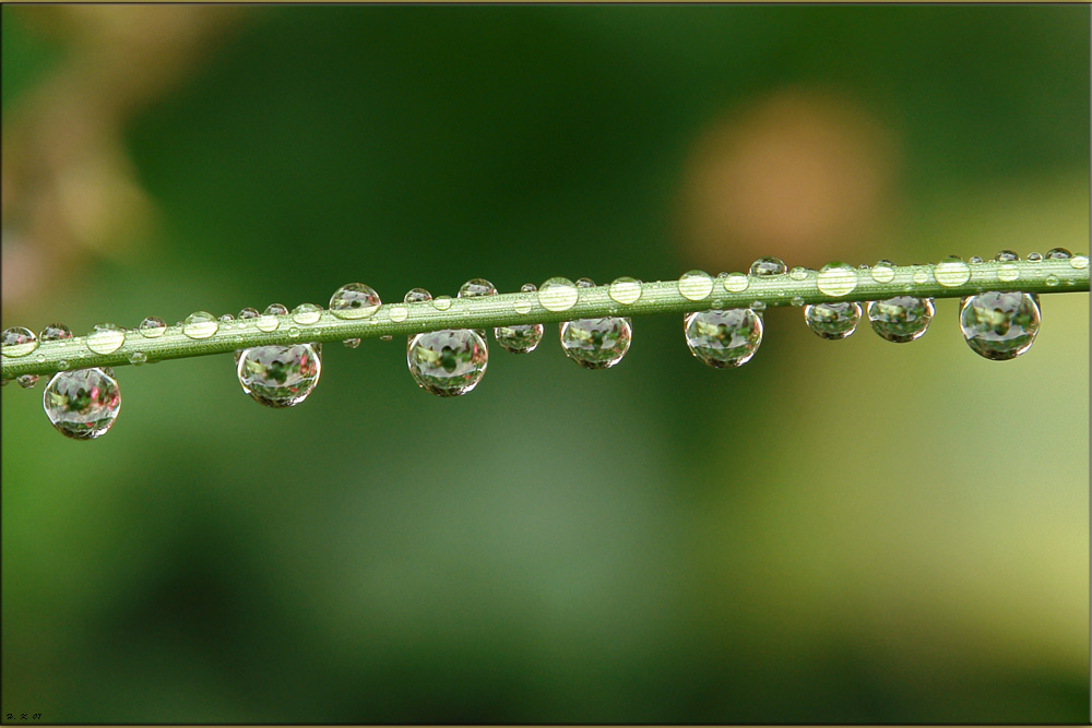 Nach dem Regen