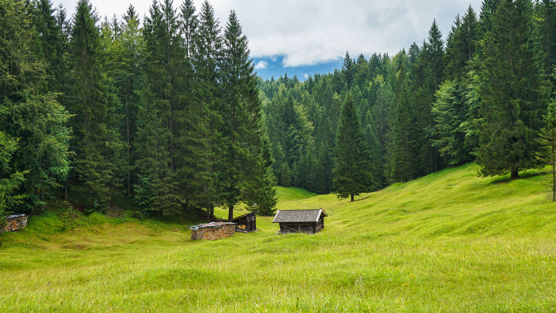 Nach dem Regen - Buckelwiese bei Klaist