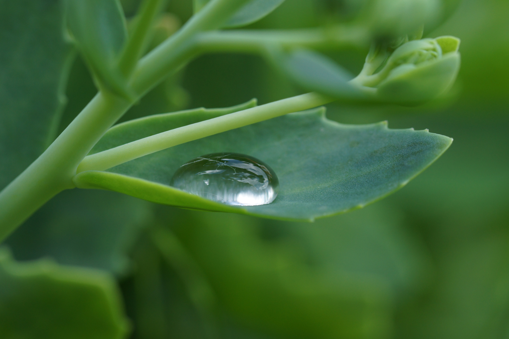 Nach dem Regen