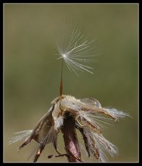 nach dem Regen