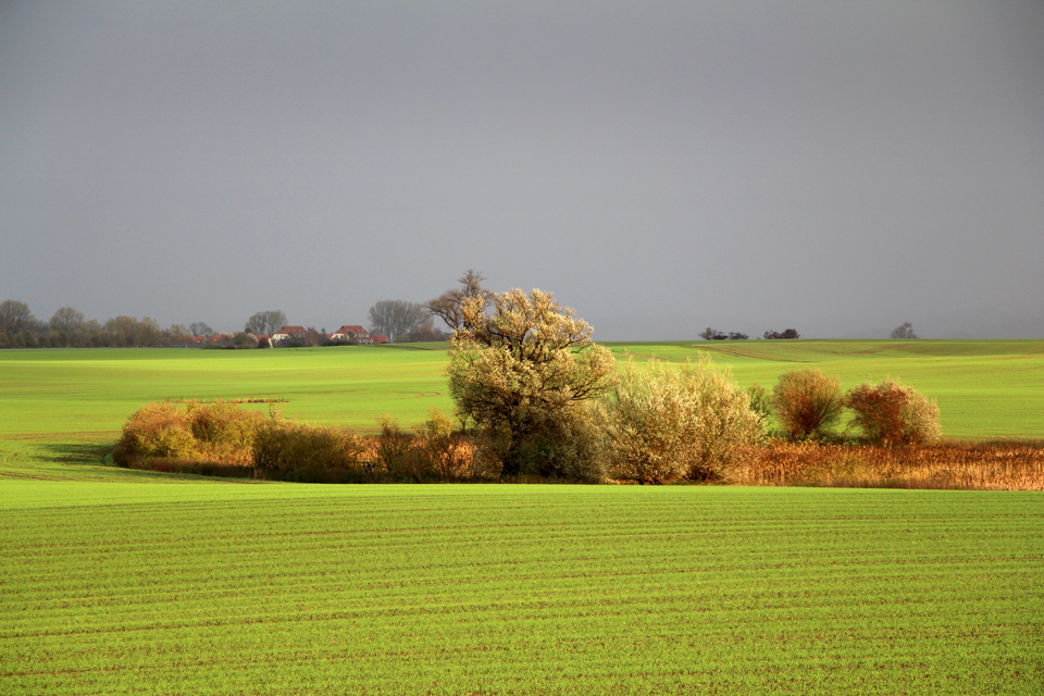 nach dem Regen...