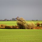 nach dem Regen...