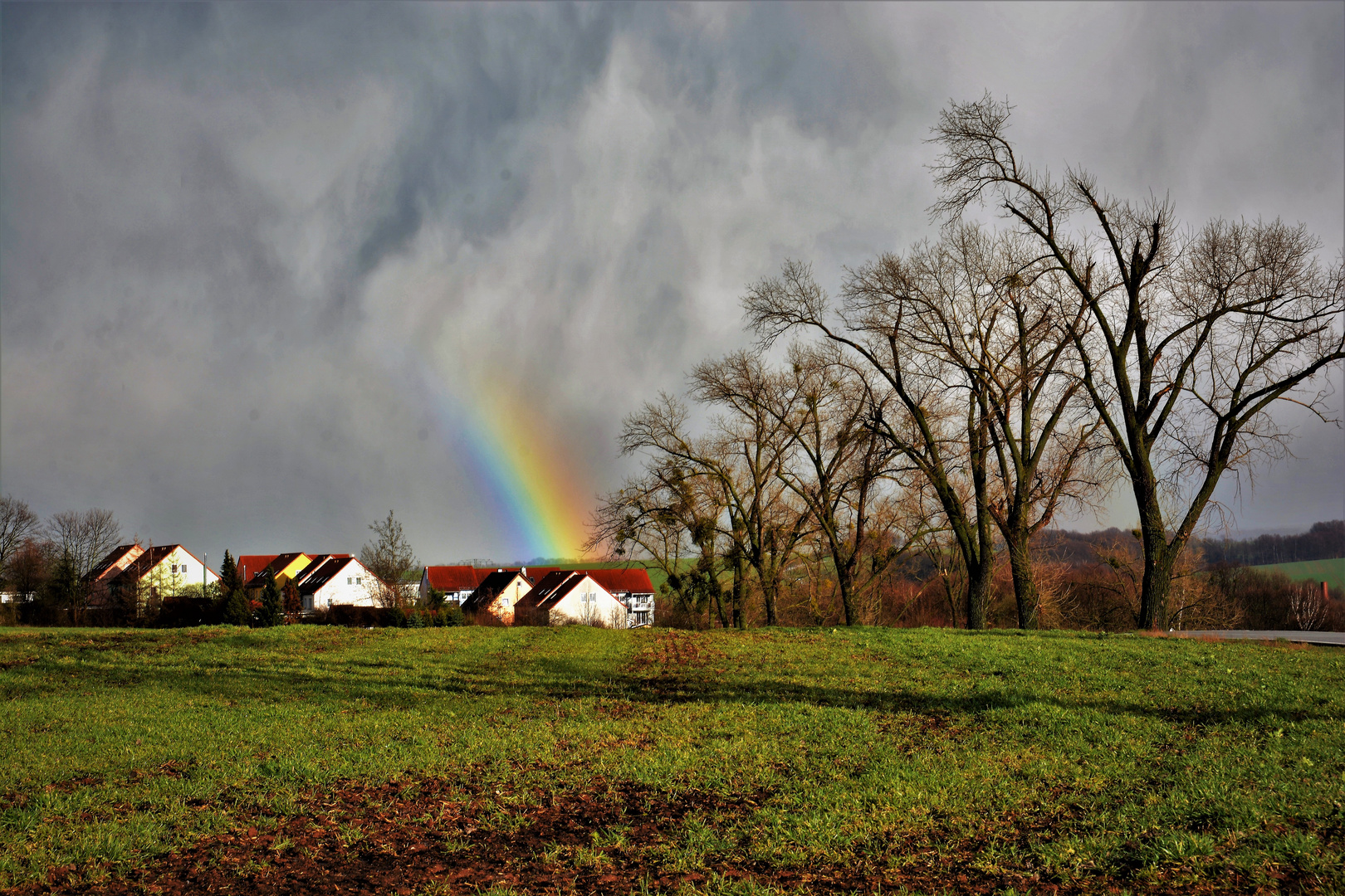 nach dem Regen