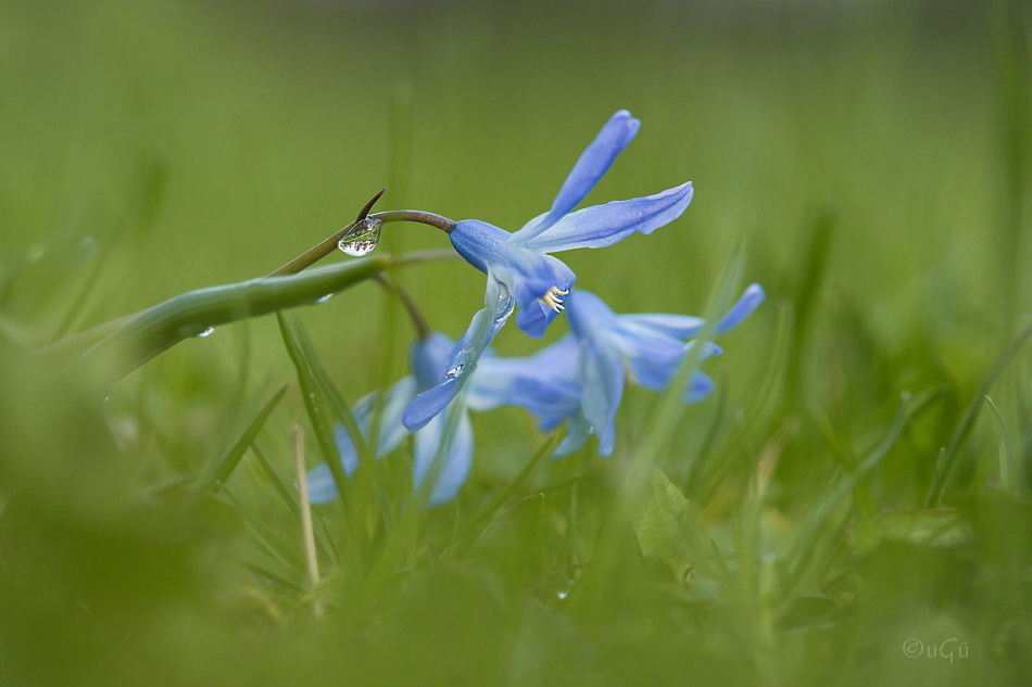 Nach dem Regen