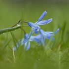 Nach dem Regen