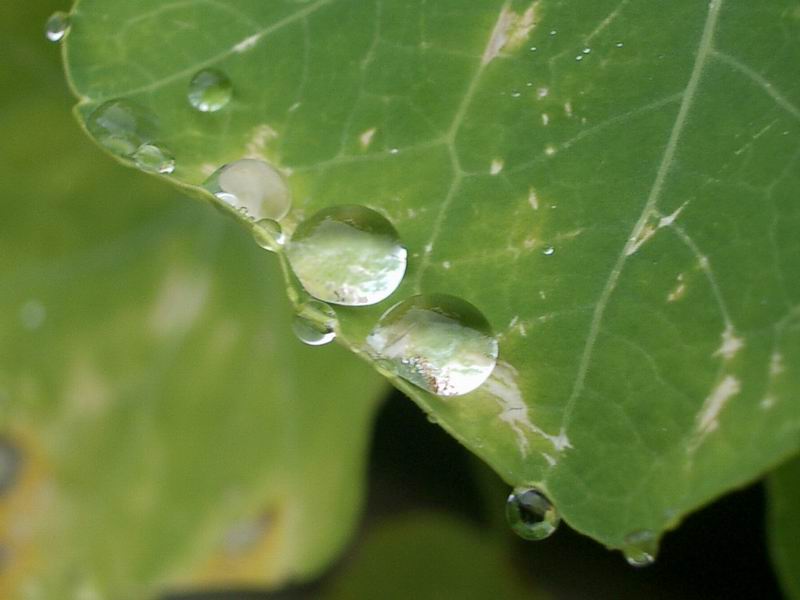 Nach dem Regen