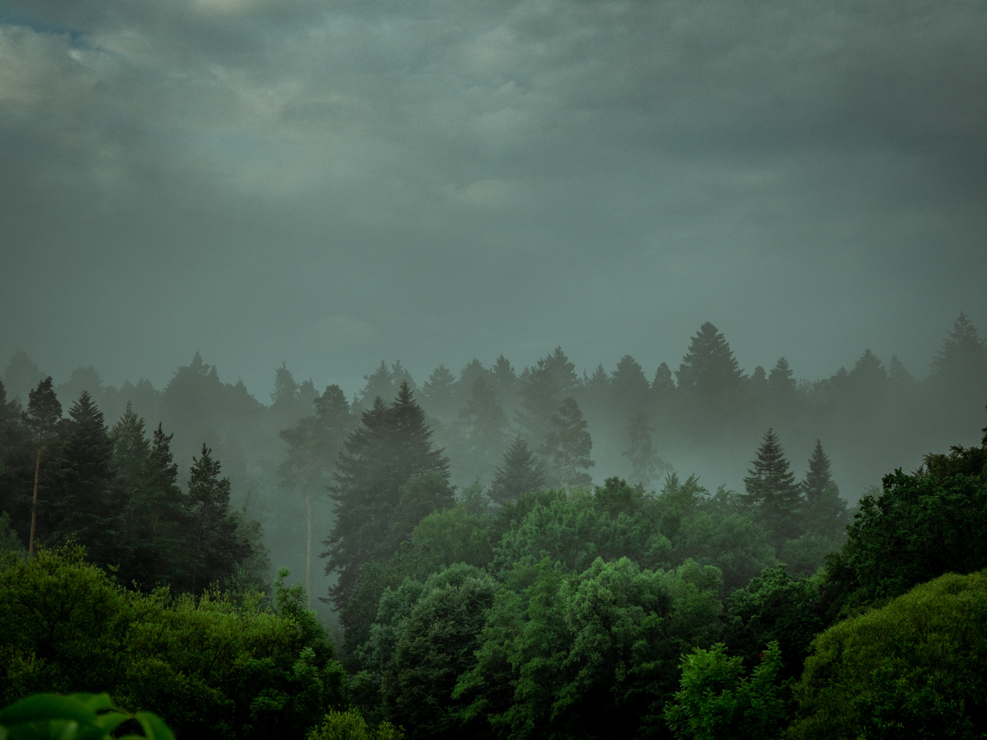 Nach dem Regen