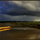 Nach dem Regen