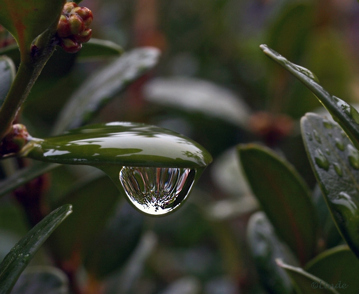 nach dem Regen