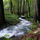 Nach dem Regen