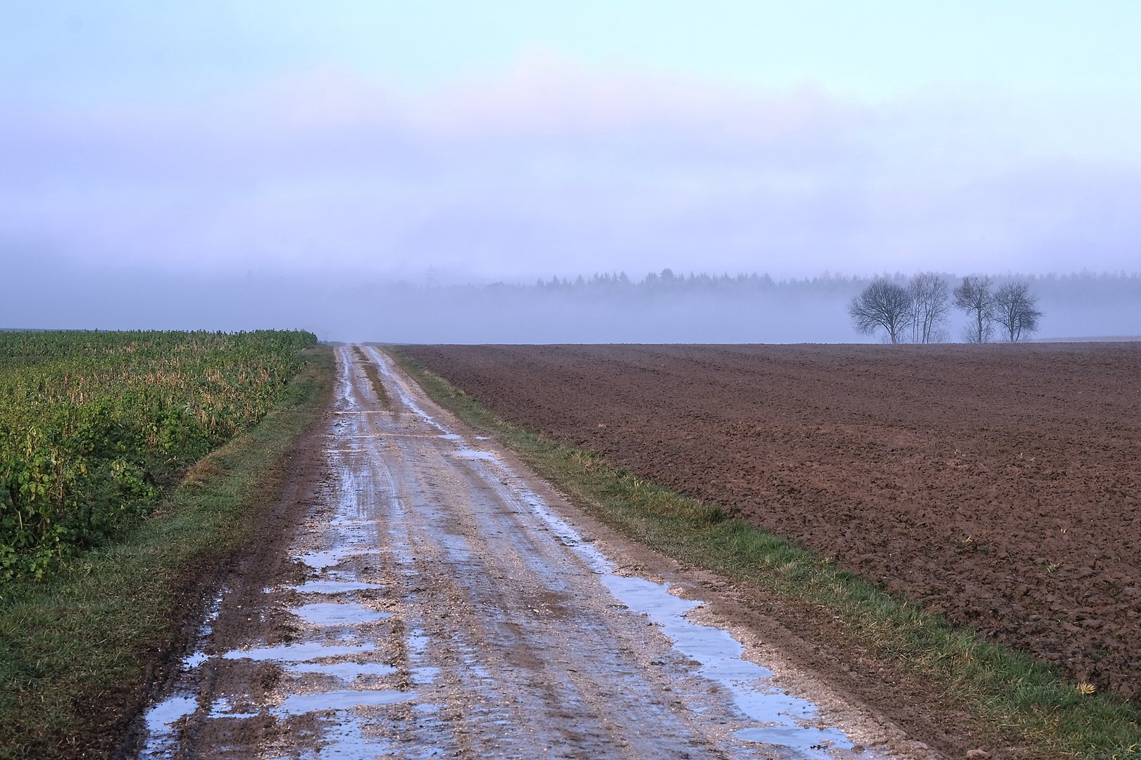 Nach dem Regen