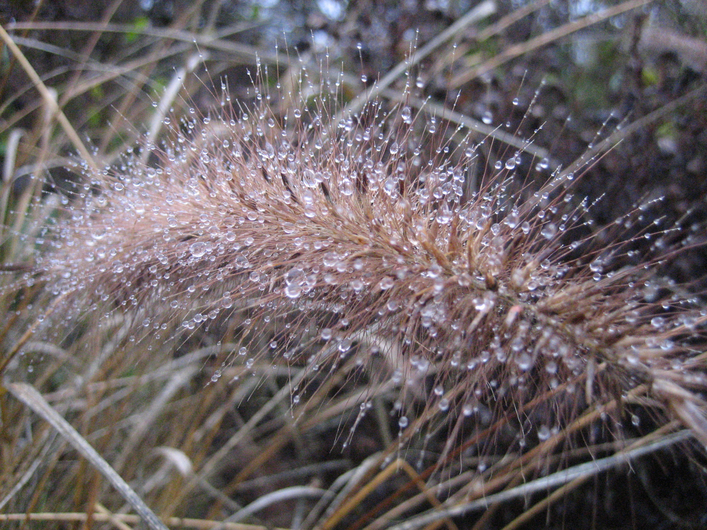 Nach dem Regen