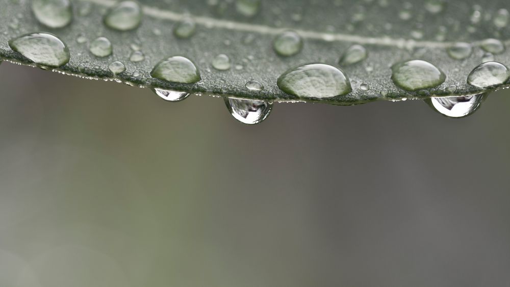 nach dem Regen