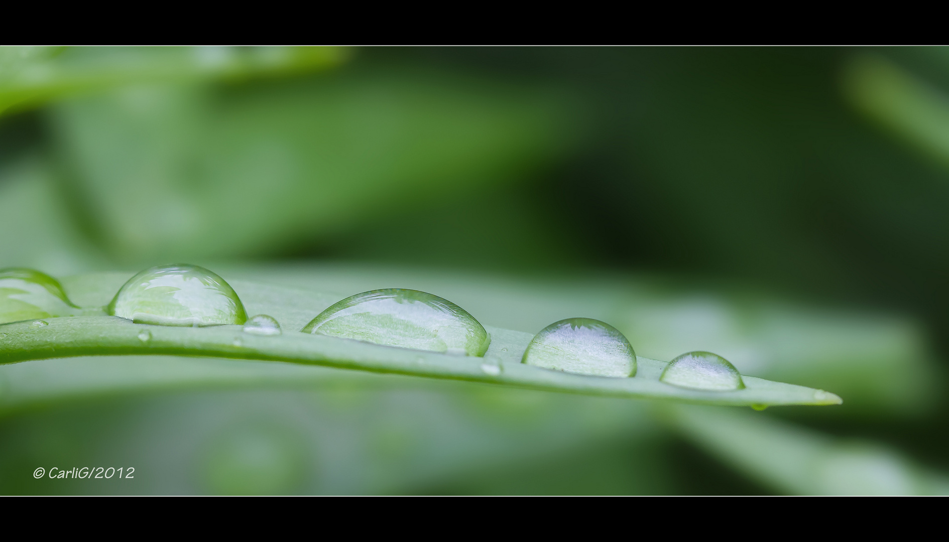 Nach dem Regen..