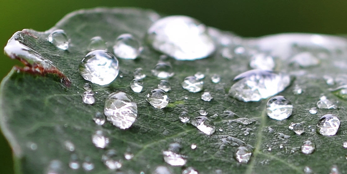 Nach dem Regen