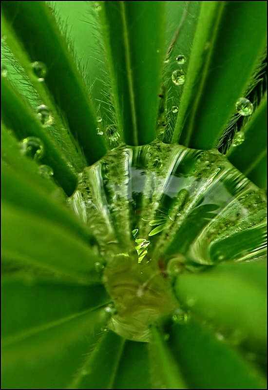 Nach dem Regen