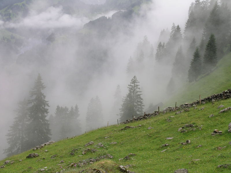 Nach dem Regen