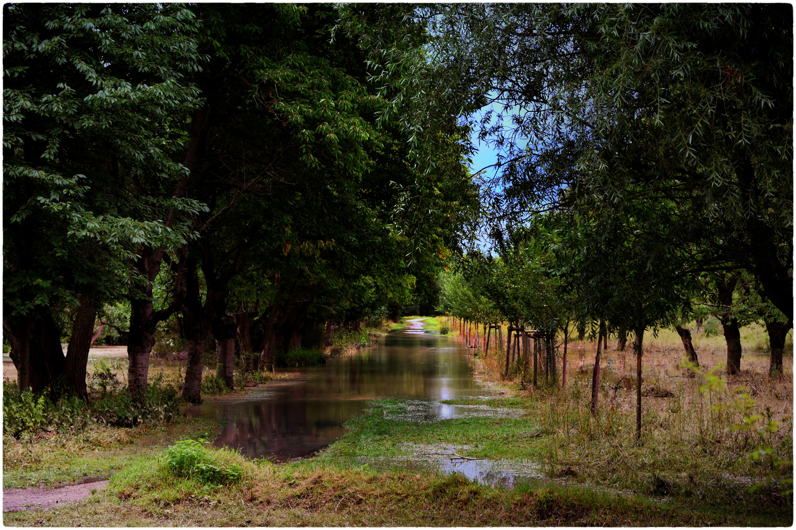 nach dem Regen