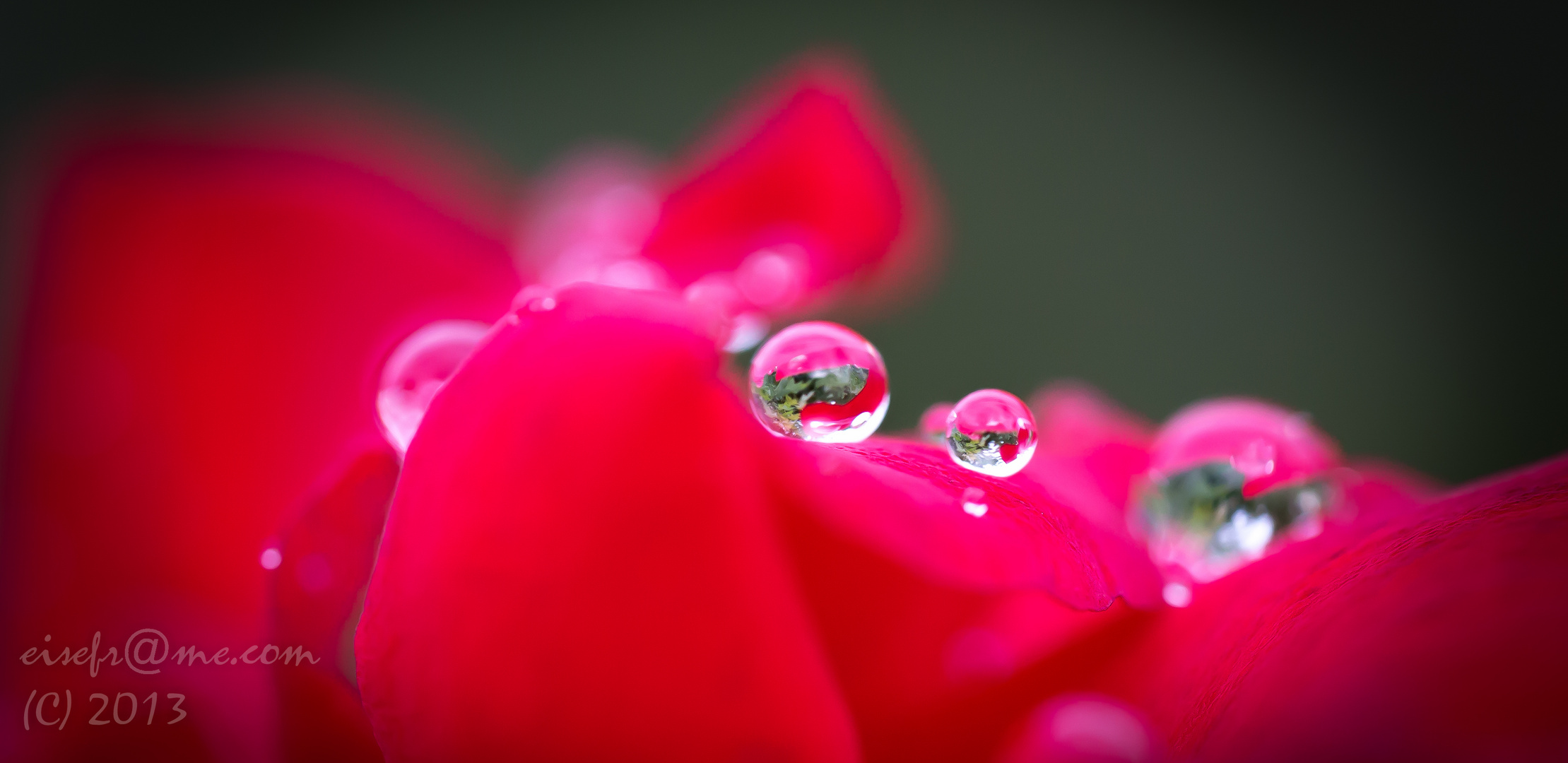 Nach dem Regen