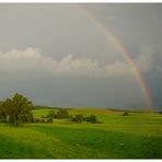 Nach dem Regen......